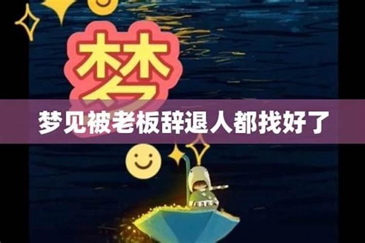 梦见满墙的虫子被打死的预兆