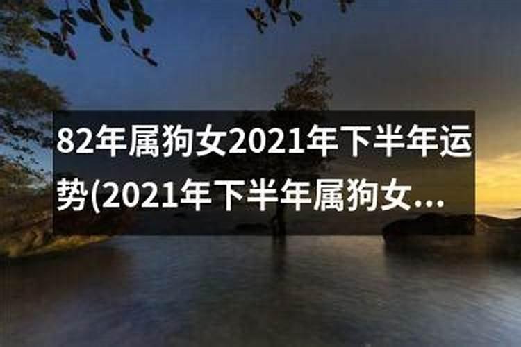 2025年属狗人的全年每月运势