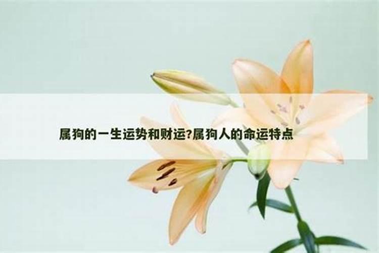 94属狗终身的大劫年运势及运程？