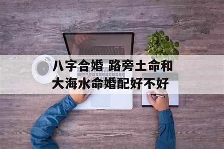 2025年犯太岁的生肖猪怎么化解2025年犯太岁的生肖猪怎么躲星