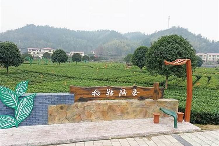 祭拜婴灵 给婴灵立神主牌 是要找神婆还是去什么庙里？求具体答案