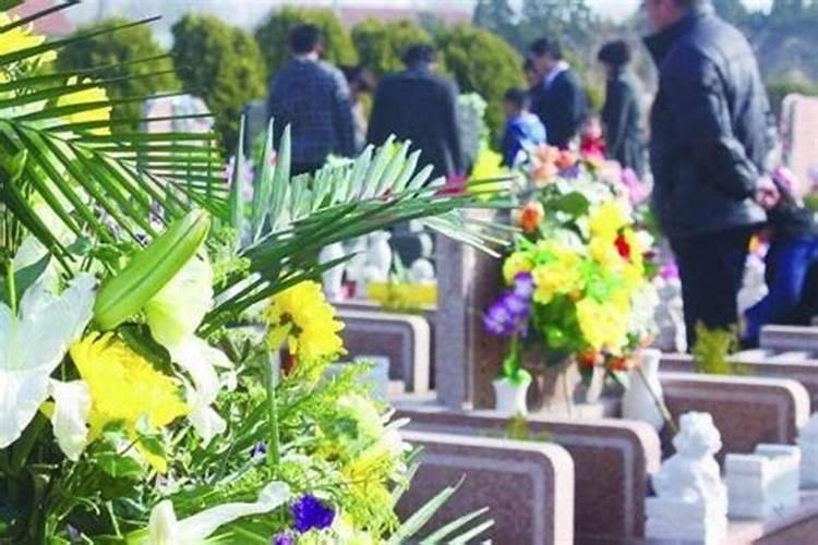 79年属羊2025年每月运势