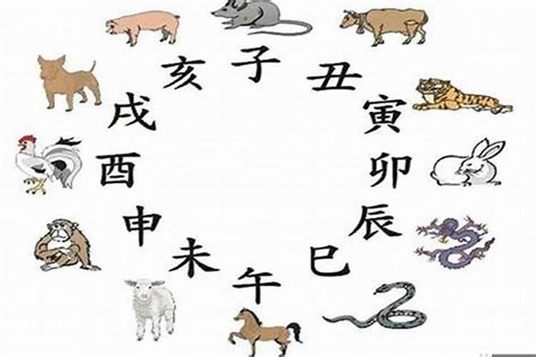 1991年羊的运势,1991年属羊最近两年运势