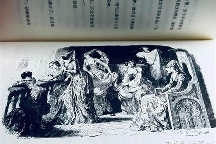 丑美指什么意思