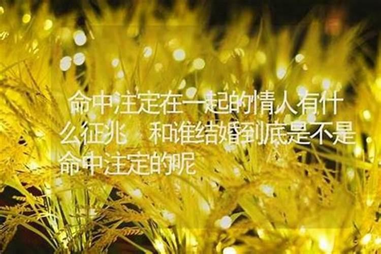 72年鼠女在2025年的全年运势