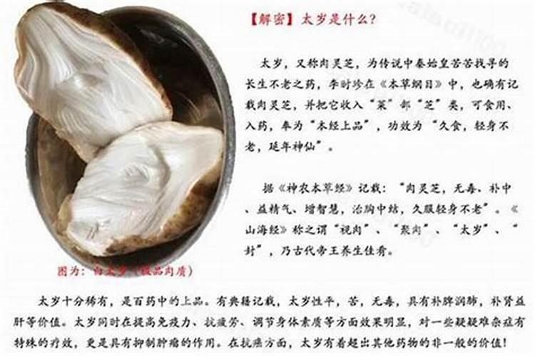72年鼠男在2025年的全年运势如何