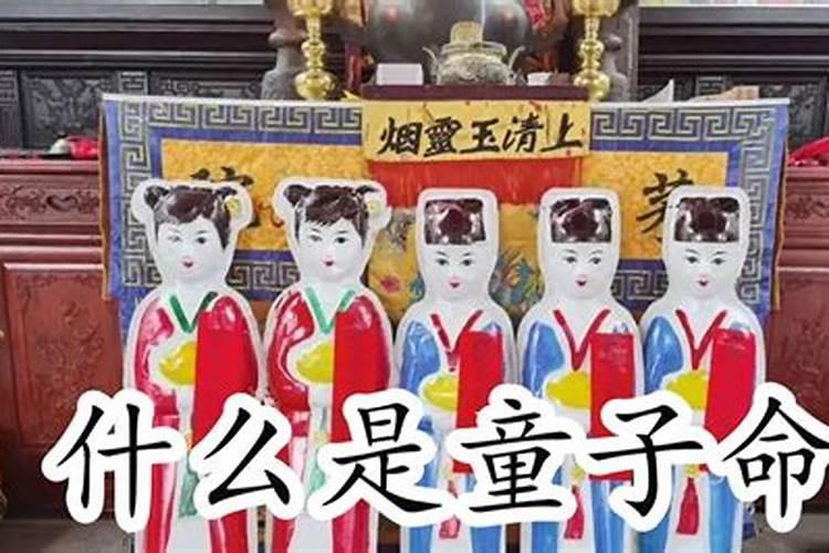 72年属鼠女2025年的运程和每月运势