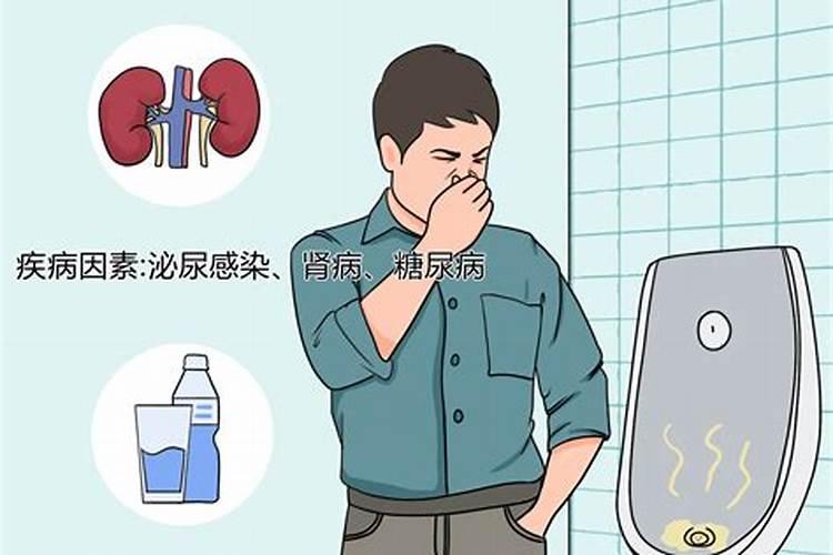 文昌符的作用及使用方法