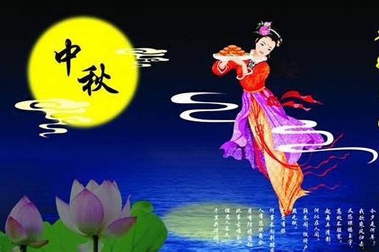 牛年属猪什么运势最旺财