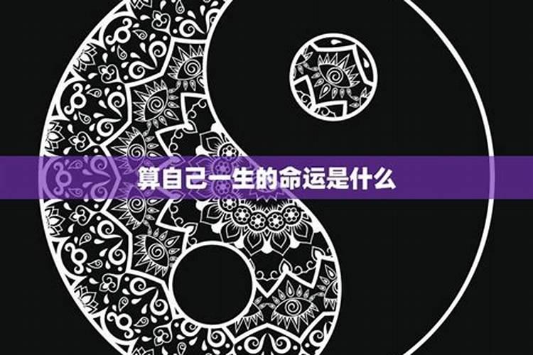 怎么算人是什么命