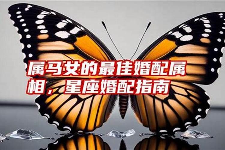 92年属猴2025年运势怎么样