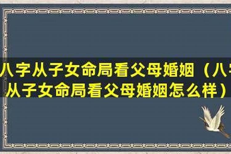 82狗2025年运势及运程