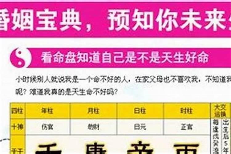 免费算婚姻:属虎男与属狗女的婚姻好吗 八字合财吗