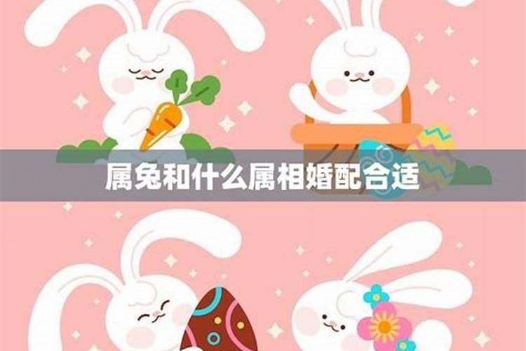 女属狗配什么生肖最合适 女属狗和什么属相最配对
