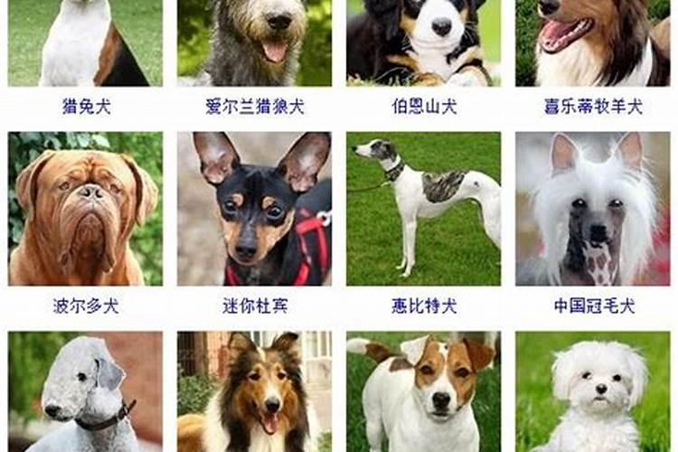 开车出车库进车库技巧