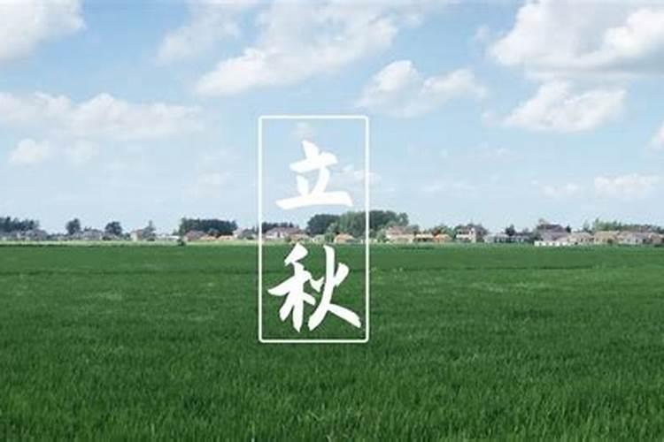 属蛇人2025年全年运势
