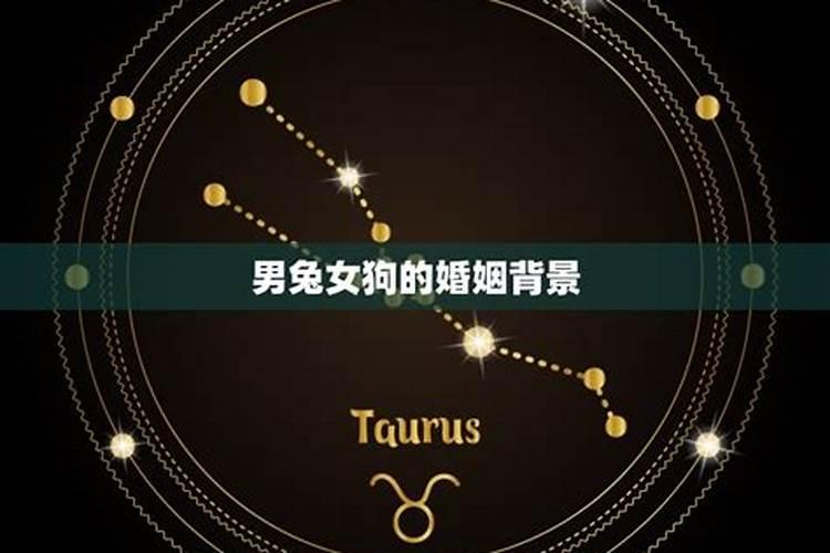 属兔2025年的全年运势