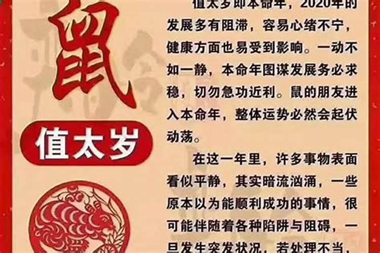 2o23年9月8日晚上7点37分出生的小兔子五行缼什么？