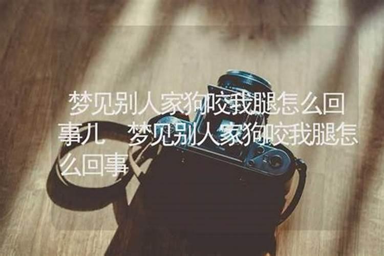 做梦梦到狗咬我腿怎么回事