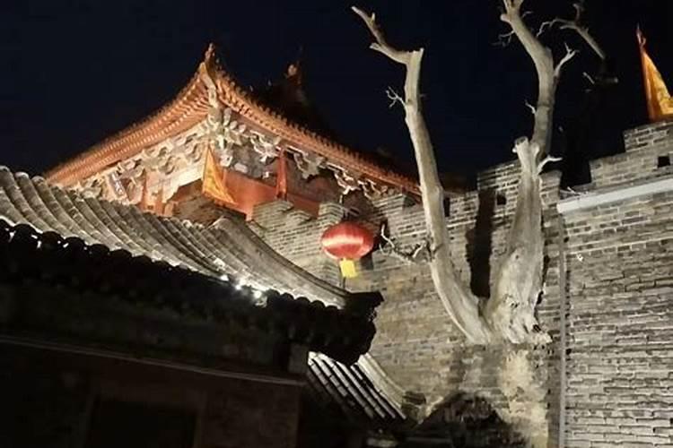 鼠年本命年 属鼠事业怎样