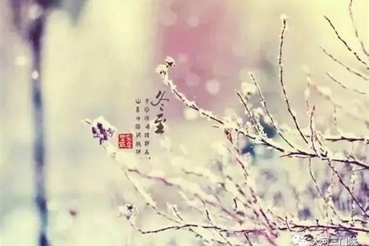 到了本命年适合投Zi做生意吗