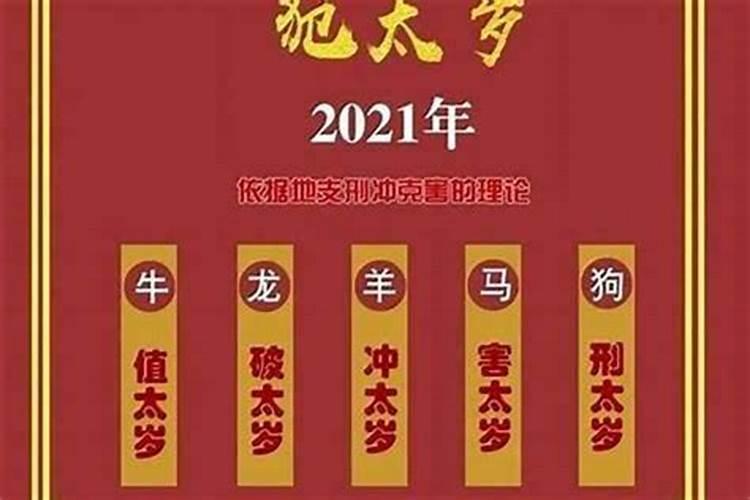 冲太岁是什么意思属蛇