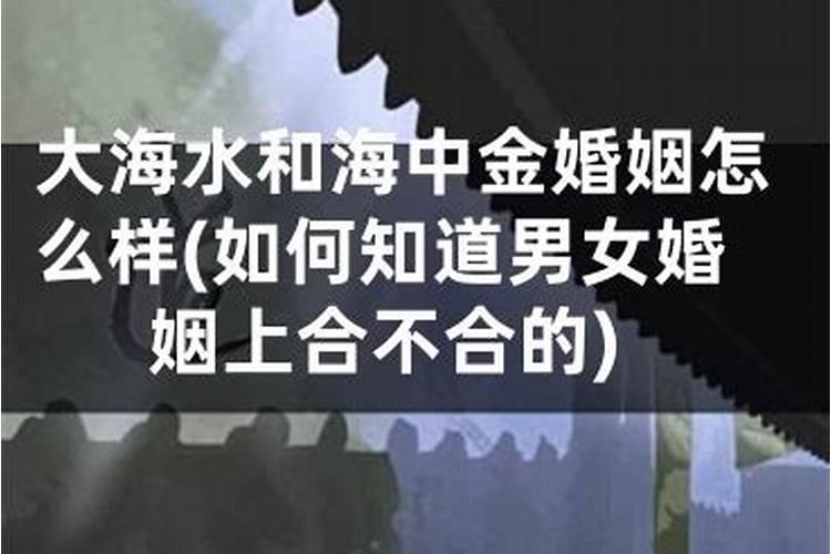 海中金命和大海水命相配吗？