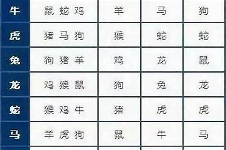 84鼠和96鼠相配婚姻如何,1984年男鼠和1996年女鼠配吗