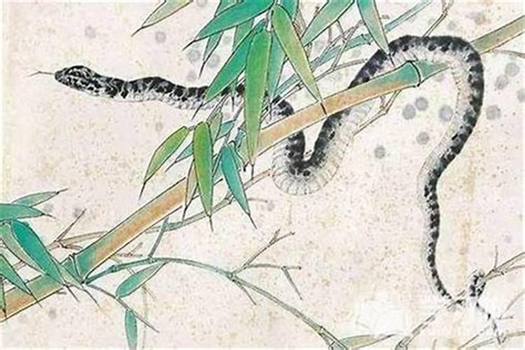 蛇年生宝宝好吗 属蛇几月出生大富大贵