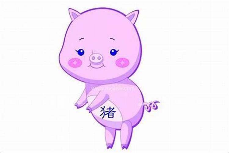 属猪的女人和什么属相较配 女属猪的较佳婚配
