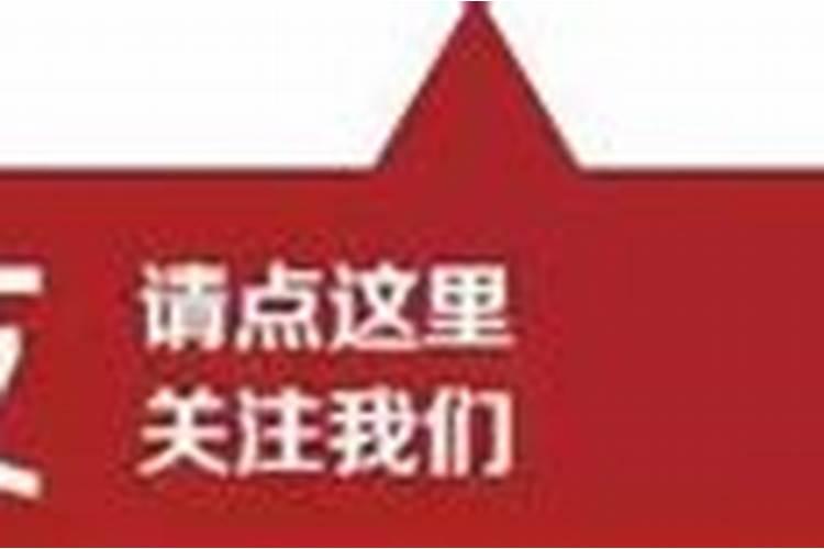 属狗的今年犯太岁怎么化解