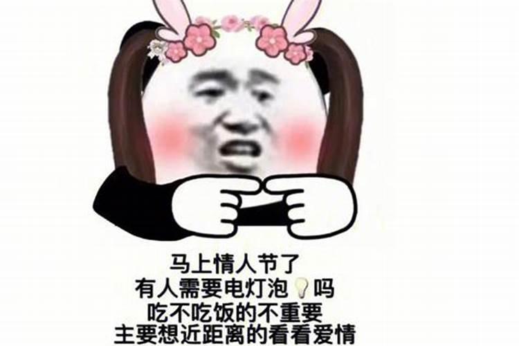鸡年哪些生肖犯太岁
