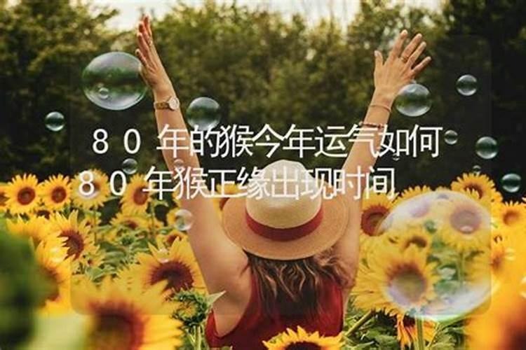 1980属猴2024苦尽甘来 属猴人今年运势怎么样