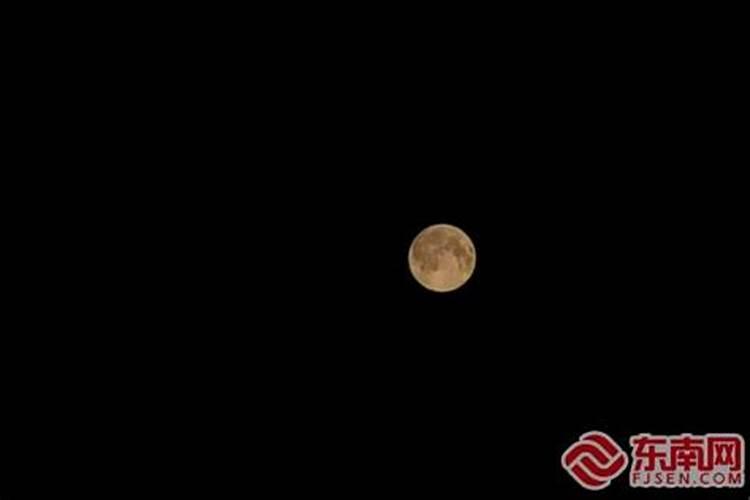 三月初十的虎什么命哪月的虎命运最好