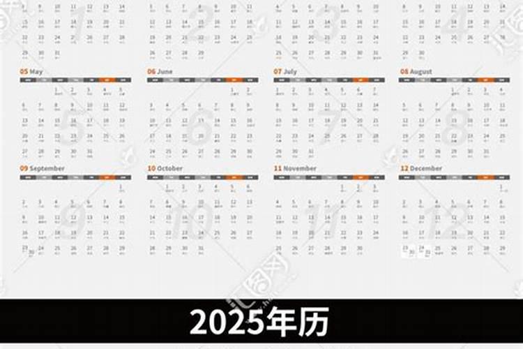 养兔子家里运气超好