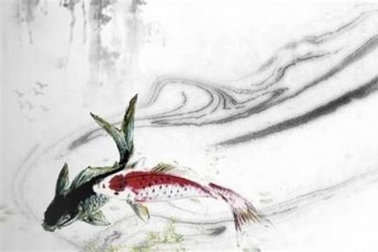 八字喜金水是什么意思