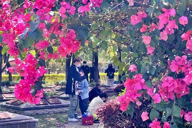 清明节拜亲人有什么顺序吗
