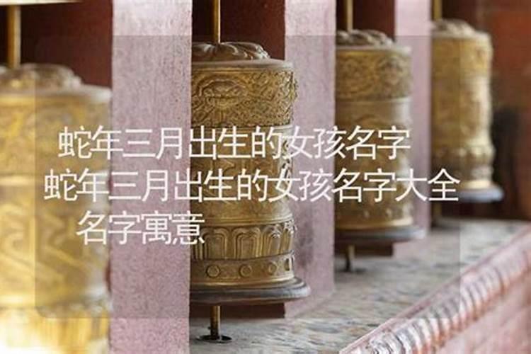 马2025年的运势如何