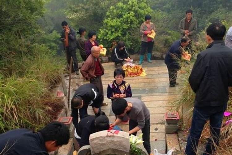 属蛇属猪相克怎么化解