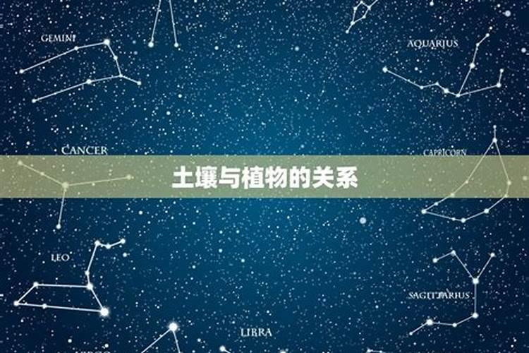 大溪水命和海中金命合婚吗