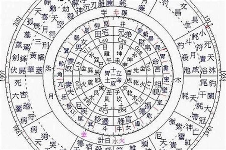 如何看八字官星旺不旺,真正的上等八字