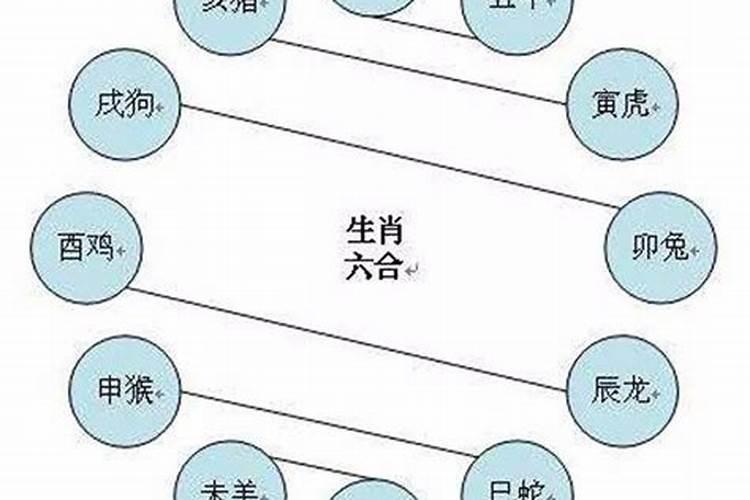 六冲在一起的婚姻特别好