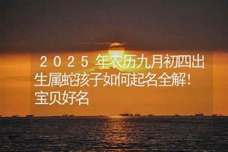 生肖猴2004年2025年运势如何 生肖猴2004年2025年全年运势