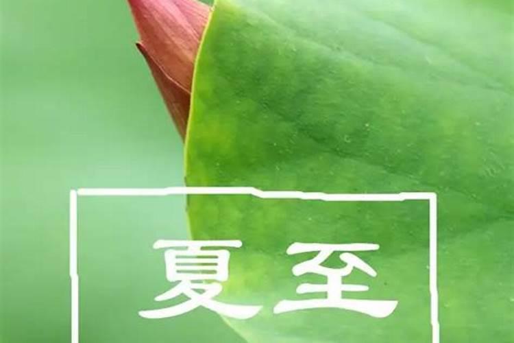 农历1979年6月16日早上8至9点出生的人的命运(女)