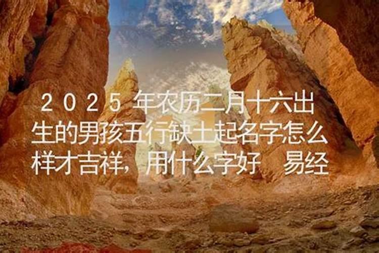 1988年属龙2025年运势如何