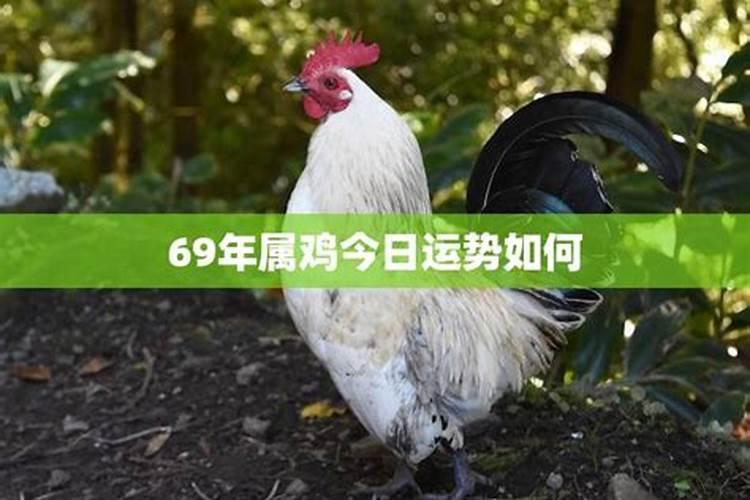生肖运势天天看今日财运今日财运最好的生肖