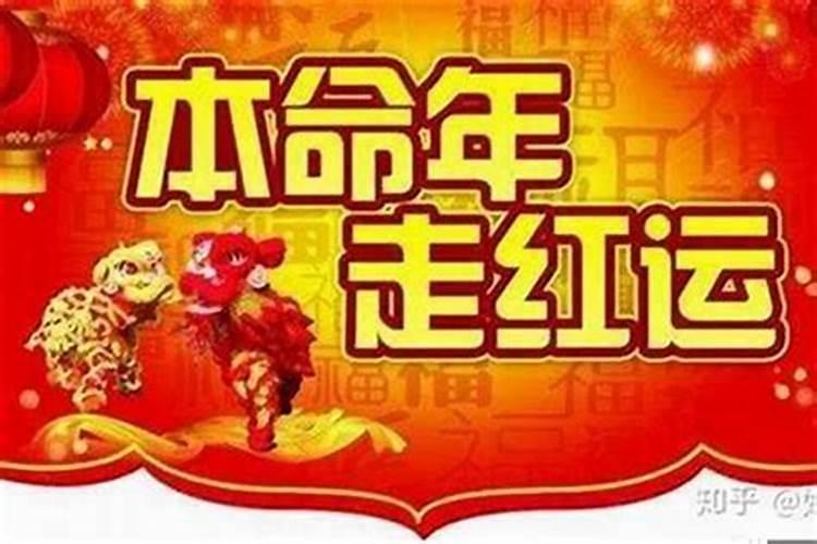 二o二五年犯太岁属相