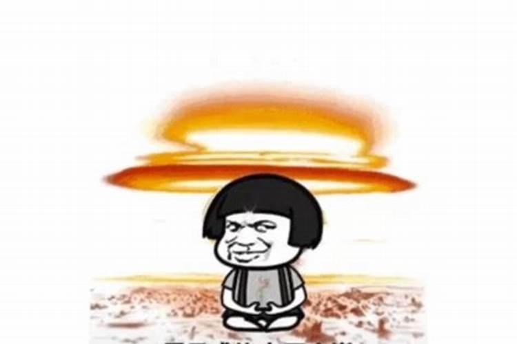 属马的今年运气