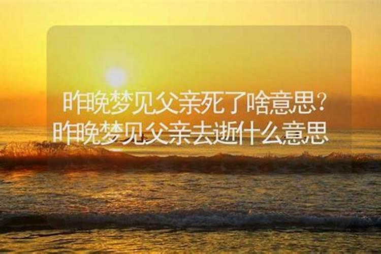 马和狗属相合不合