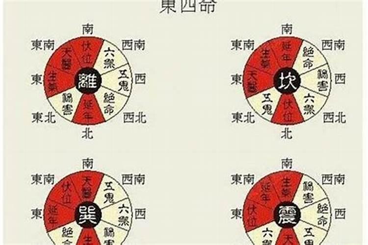 命主福元:震宫,属东四命是啥意思,求大师指点,谢谢